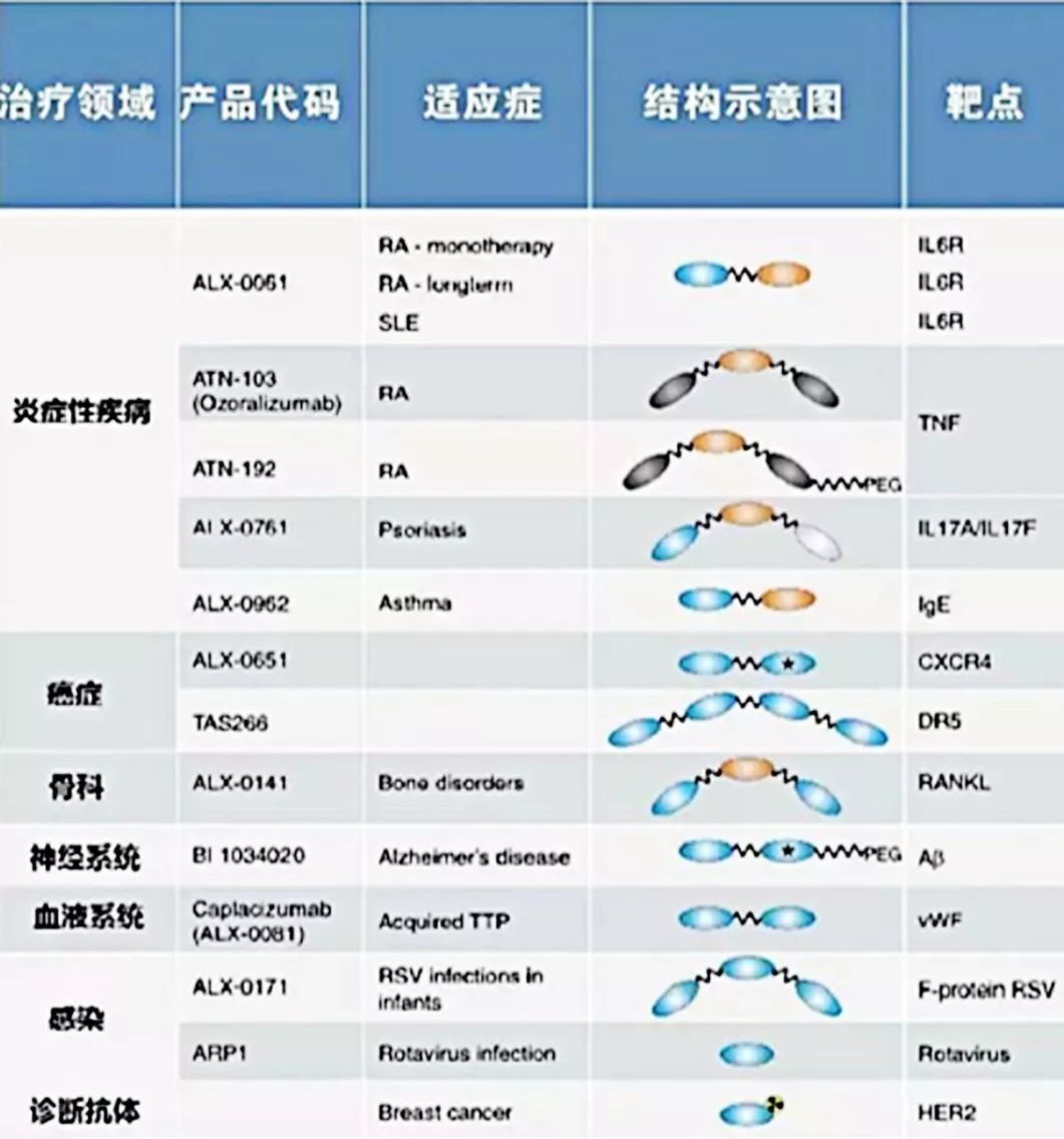 行研 | 納米抗體 – 抗體界的“百變星君”，如何突破抗體藥的激烈重圍？-肽度TIMEDOO